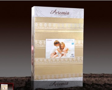 MUA NỆM EVERON CHÍNH HÃNG Ở ĐÂU MUA NỆM EVERON CHÍNH HÃNG Ở ĐÂU